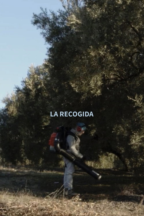 Movie poster for Olive Harvest (2021)