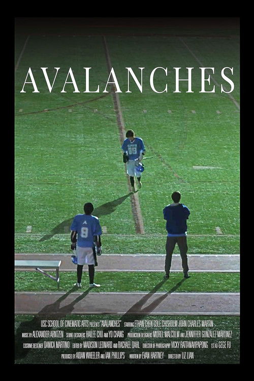 Movie poster for Avalanches (2022)