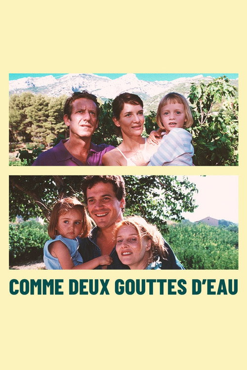 Movie poster for Comme deux gouttes d'eau (2008)