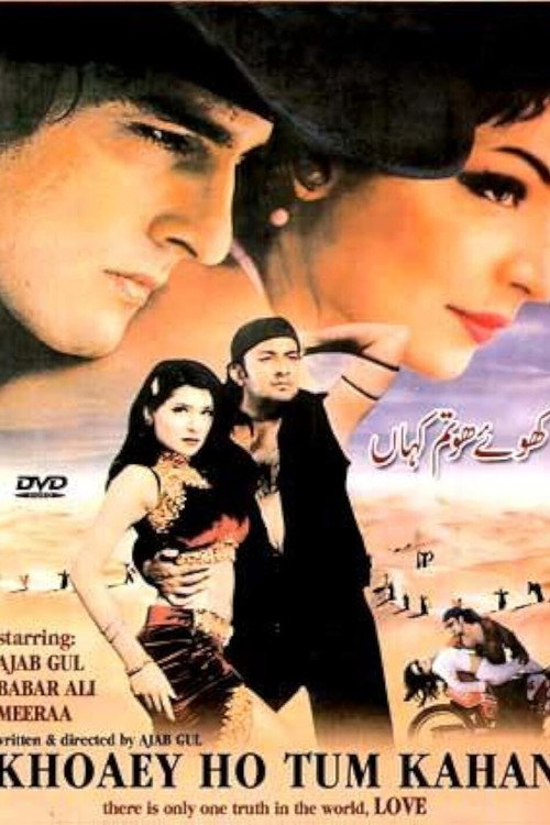 Movie poster for Khoey Ho Tum Kahan (2001)