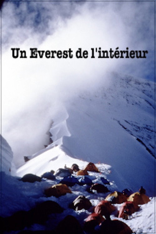 Movie poster for Everest from Within (2001)