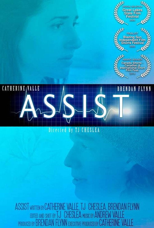 Movie poster for Assist