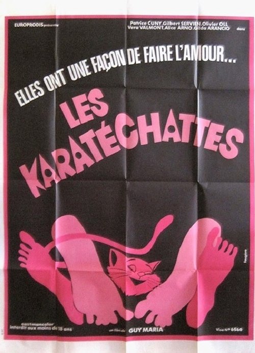 Movie poster for Les pornochattes (1975)