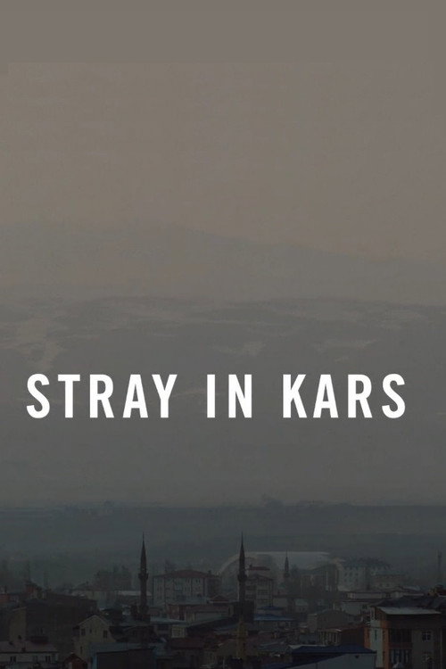 Movie poster for Stray in Kars (2022)