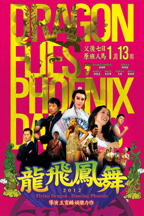 Movie poster for Flying Dragon, Dancing Phoenix (2012)