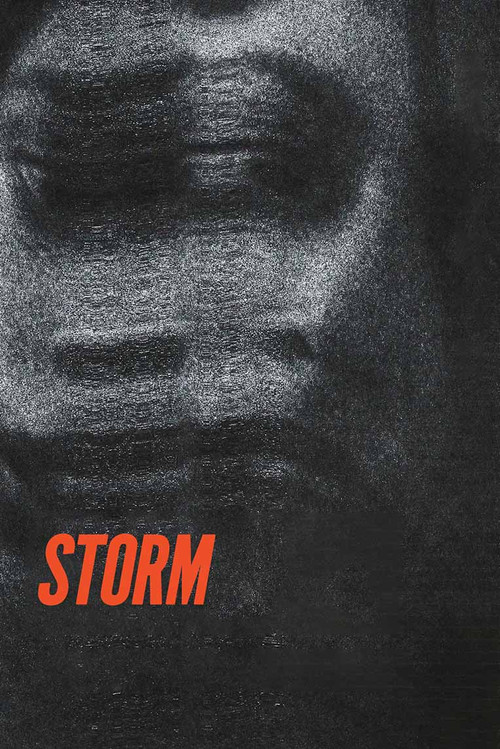 Movie poster for Storm (2023)