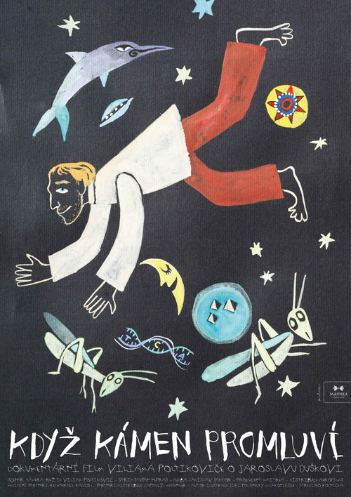 Movie poster for Když kámen promluví (2011)