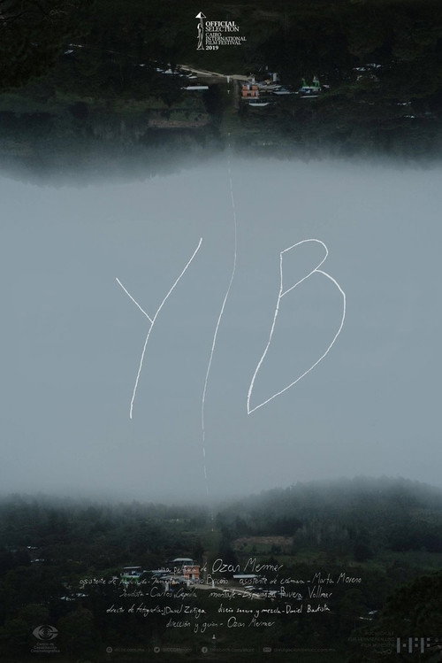 Movie poster for YIB (2019)