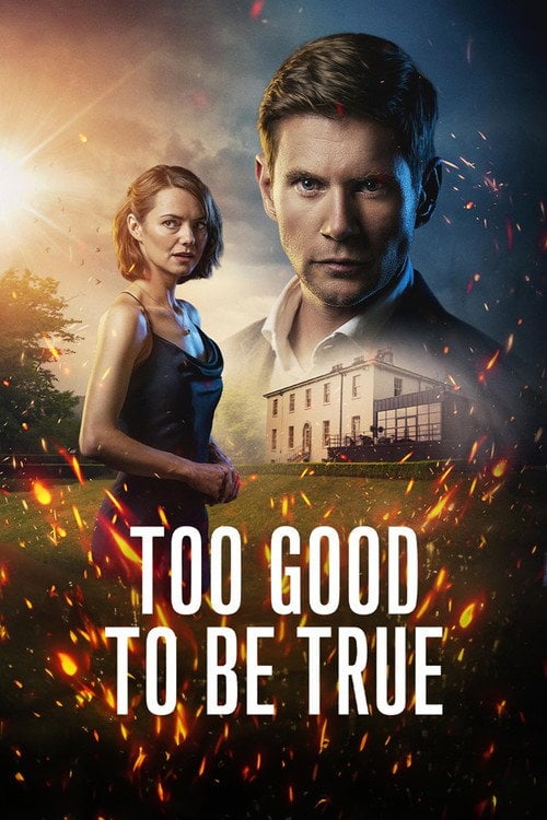 Series poster for Too Good To Be True (2024)
