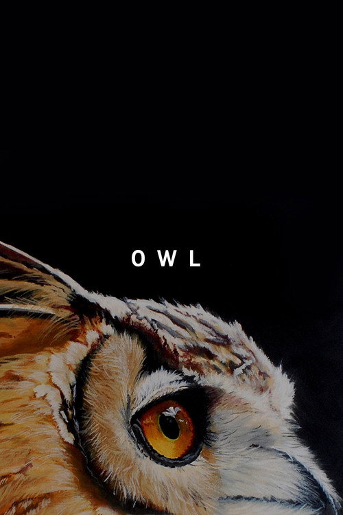 Movie poster for Owl (2019)