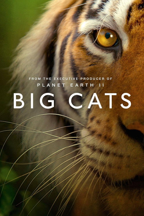 Movie poster for Big Cats (2019)