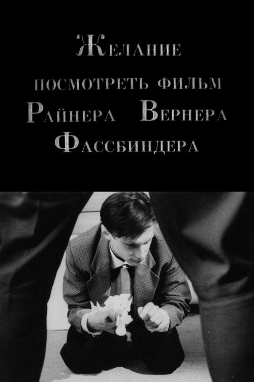 Movie poster for The Desire to See a Film of Rainer Werner Fassbinder (1993)