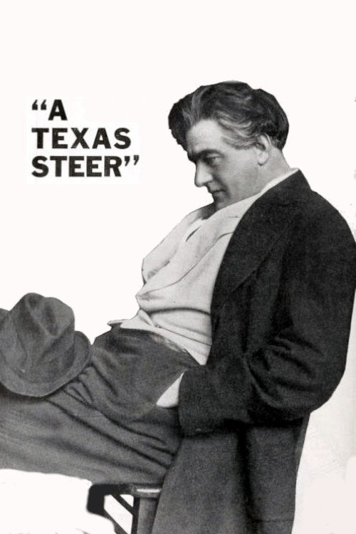 Movie poster for A Texas Steer (1915)