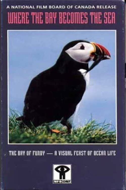 Movie poster for Where the Bay Becomes the Sea (1985)