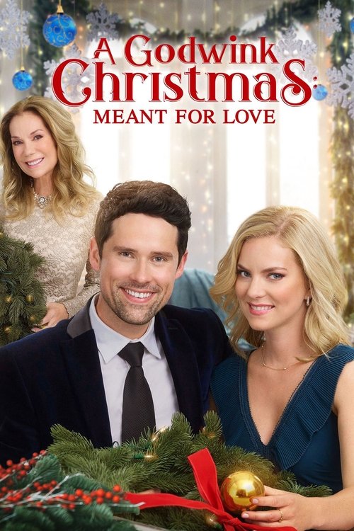 Movie poster for A Godwink Christmas: Meant For Love (2019)