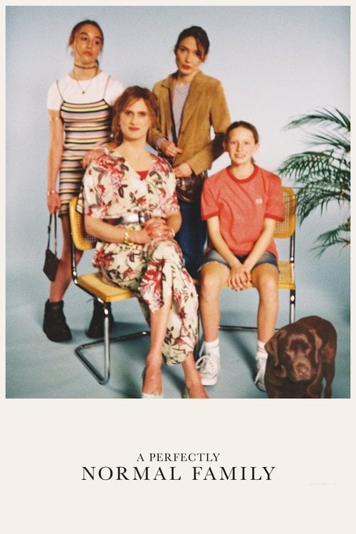 Movie poster for A Perfectly Normal Family (2020)