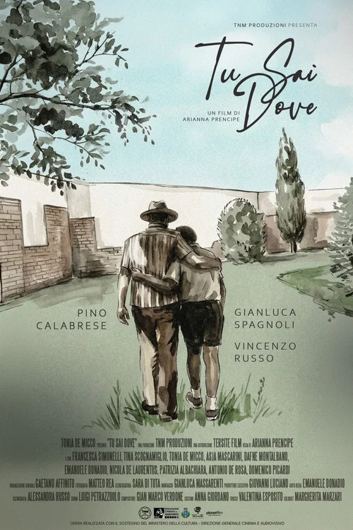 Movie poster for Tu sai dove