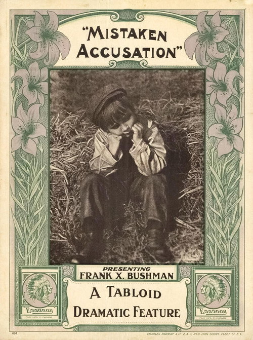 Movie poster for A Mistaken Accusation (1913)