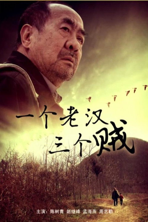 Movie poster for 一个老汉三个贼 (2014)