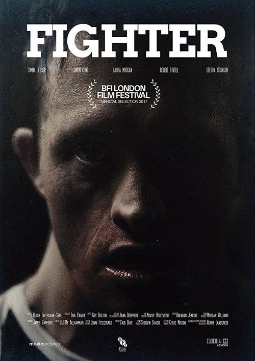 Movie poster for Fighter (2017)