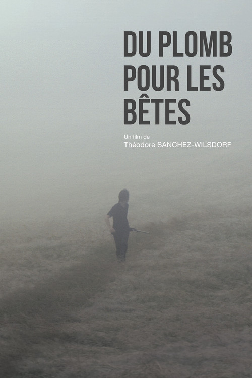 Movie poster for Du plomb pour les bêtes (2017)