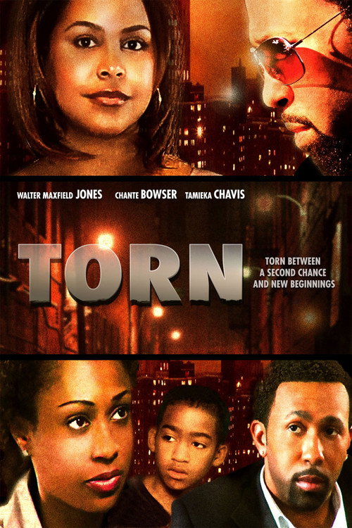 Movie poster for Torn (2010)