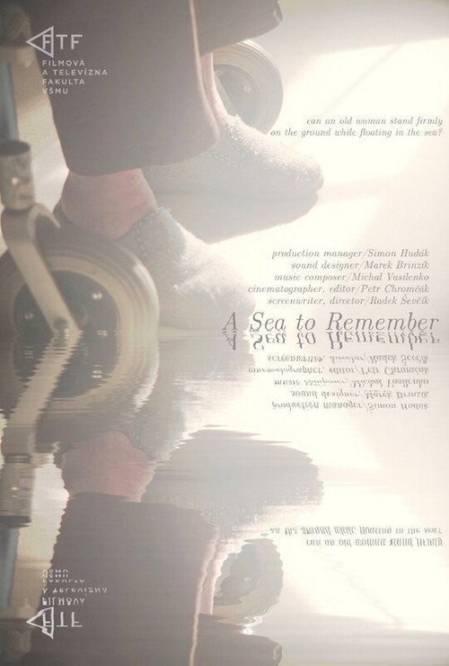 Movie poster for A Sea to Remember (2024)