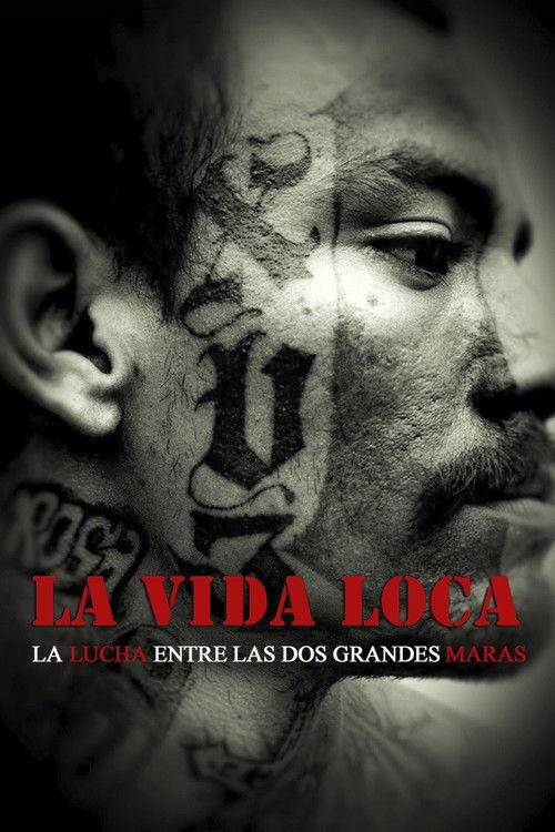 Movie poster for The Crazy Life (2008)