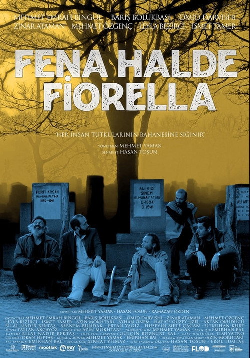 Movie poster for Fena Halde Fiorella (2025)