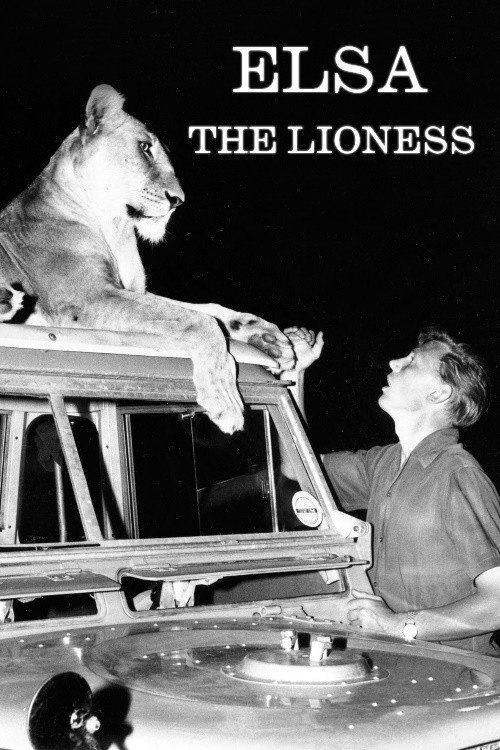 Movie poster for Elsa the Lioness (1961)
