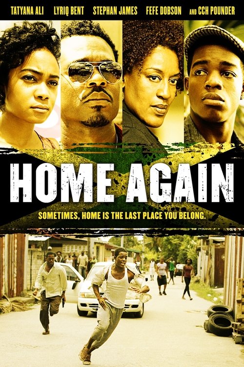 Movie poster for Home Again (2012)