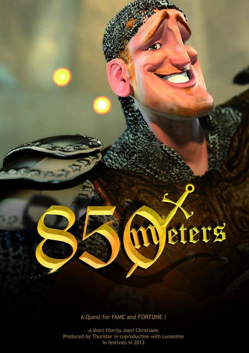 Movie poster for 850 Meters (2013)