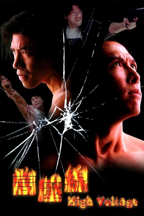 Movie poster for High Voltage (1995)