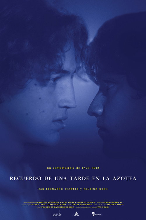 Movie poster for Memory of an Afternoon on the Roof (2022)