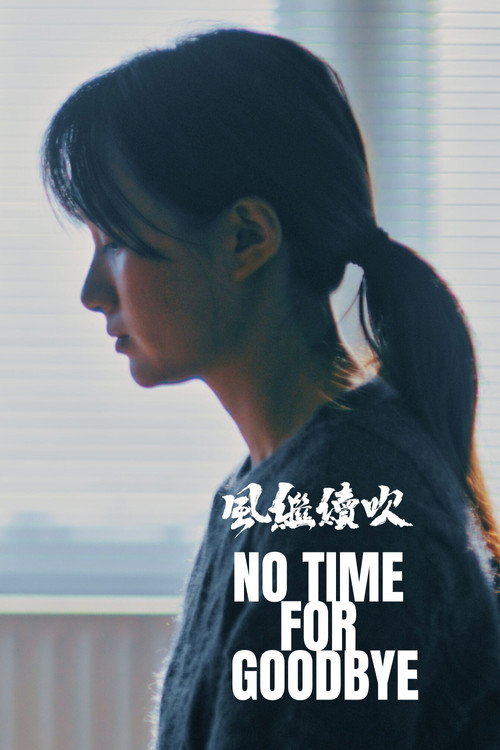 Movie poster for No Time For Goodbye (2025)