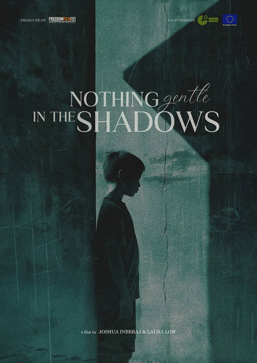 Movie poster for Nothing Gentle in the Shadows (2024)