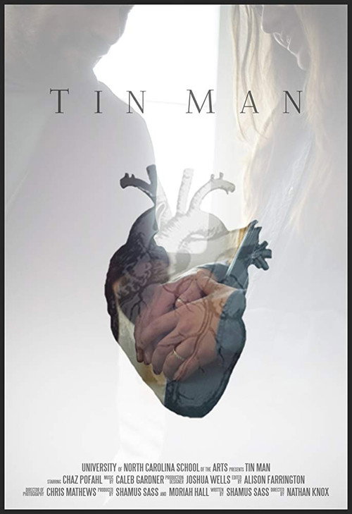 Movie poster for Tin Man (2017)