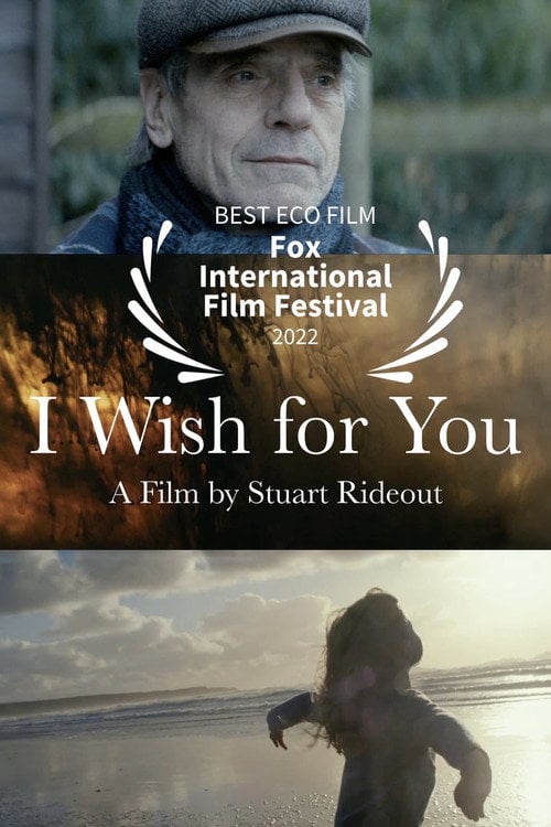 Movie poster for I Wish For You (2016)