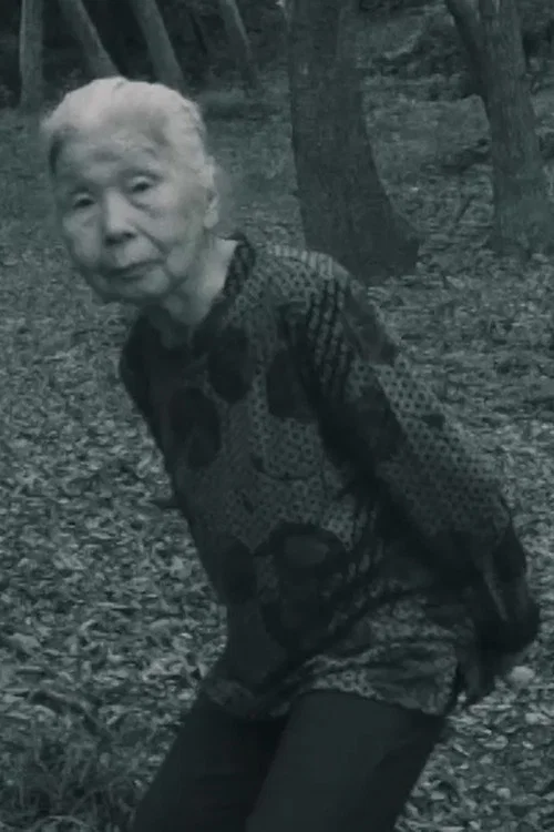 Movie poster for Turbo-Granny (2017)