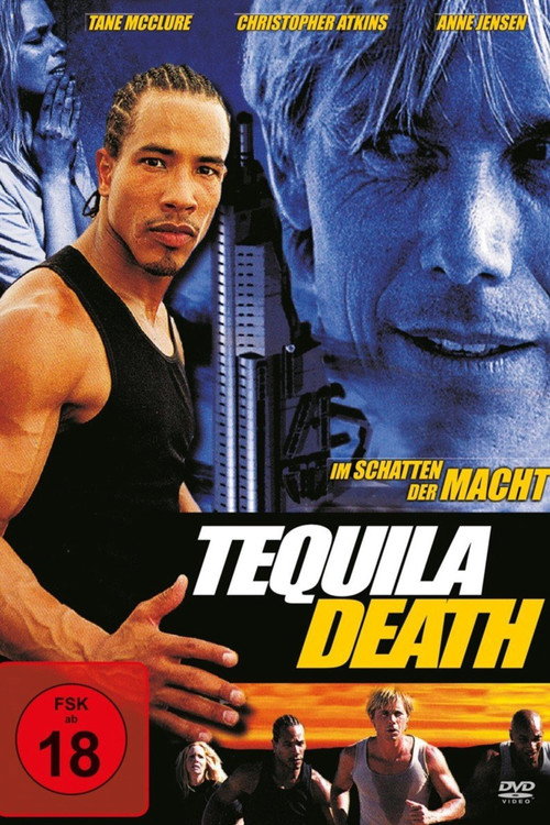 Movie poster for Tequila Express (2002)