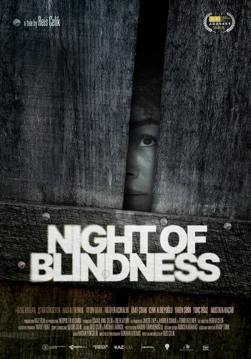 Movie poster for Night of Blindness (2026)