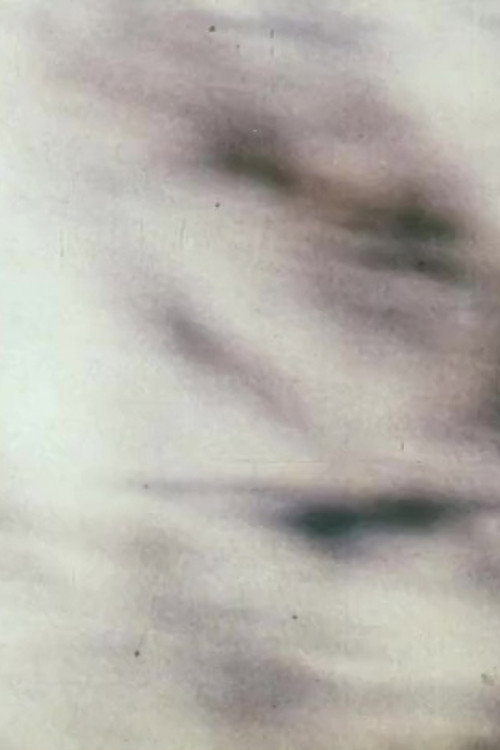 Movie poster for Narcisse Pretext (1992)