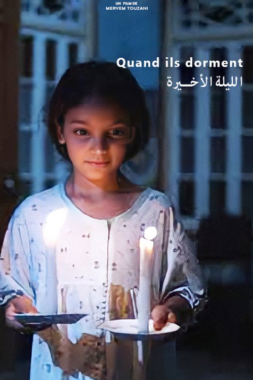 Movie poster for The Last Night (2012)