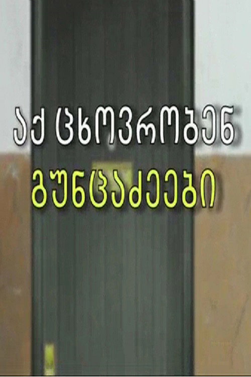 The Guntsadzes Live Here poster