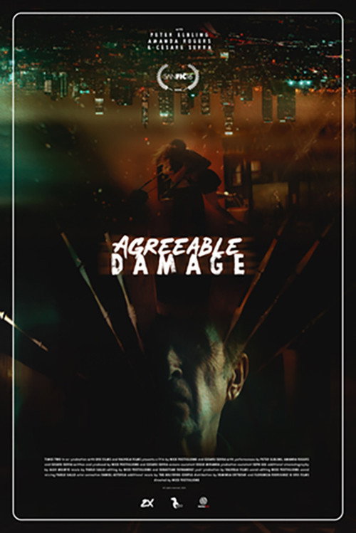 Movie poster for Agreeable damage (2020)