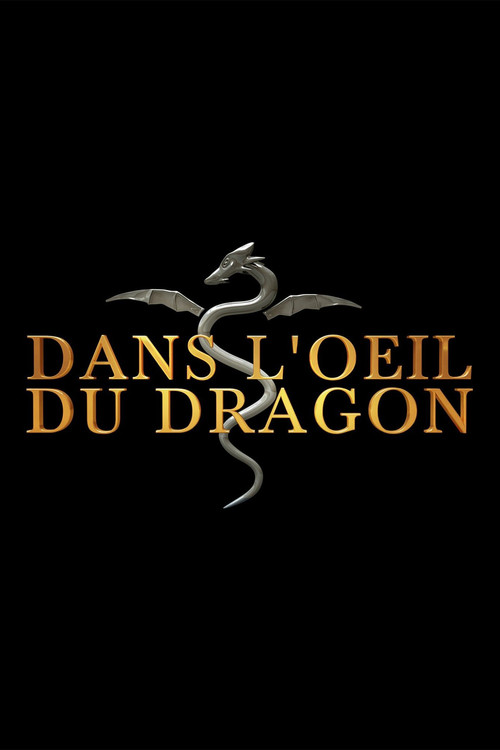 Dans l'oeil du dragon poster