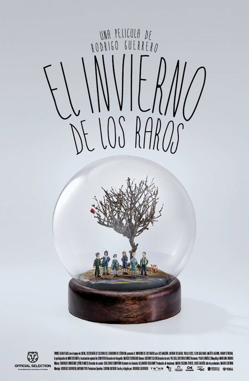 Movie poster for The Winter of the Odd Ones Out (2011)