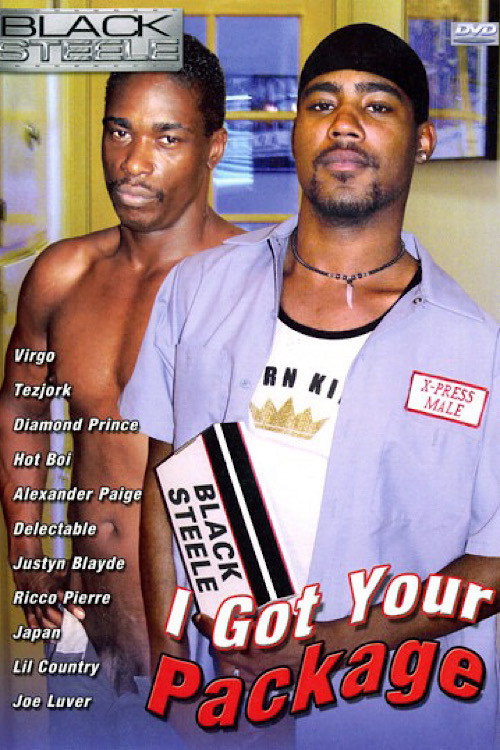 Movie poster for I Got Your Package (2006)