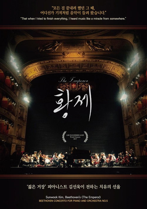 Movie poster for The Emperor (2017)