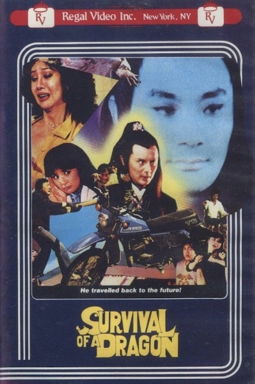 Movie poster for Survival of a Dragon (1981)